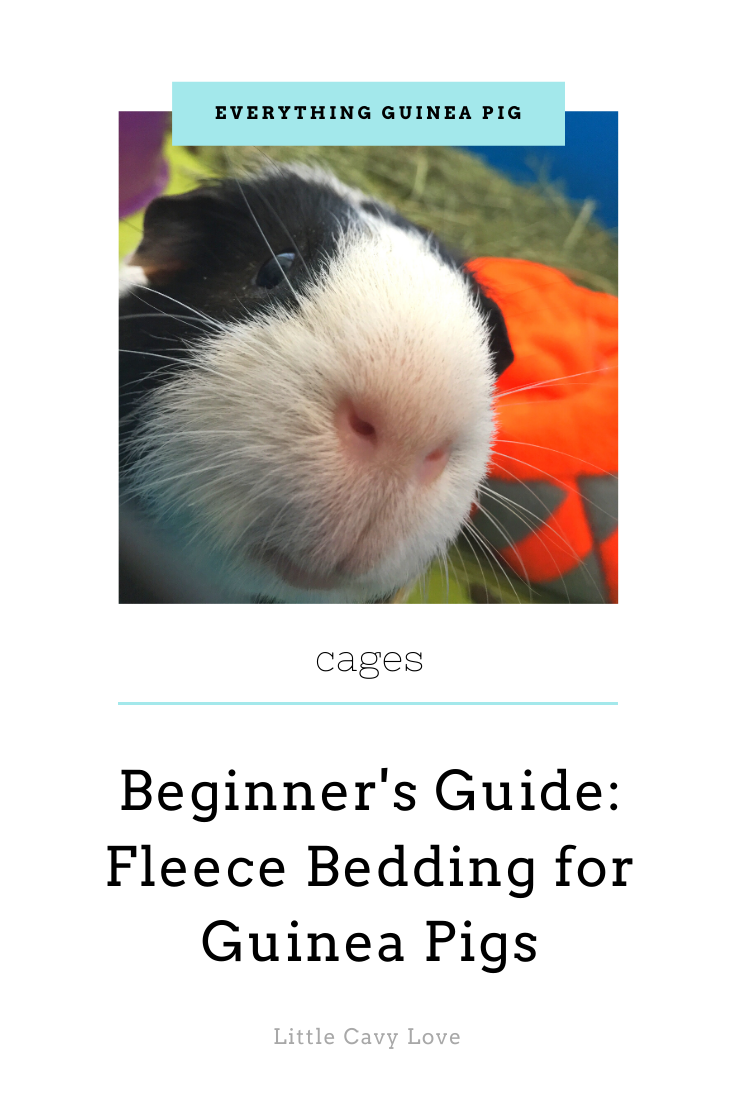 using fleece for guinea pigs